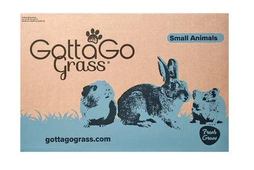 Small Animal Refill 2pk with Waste Bags