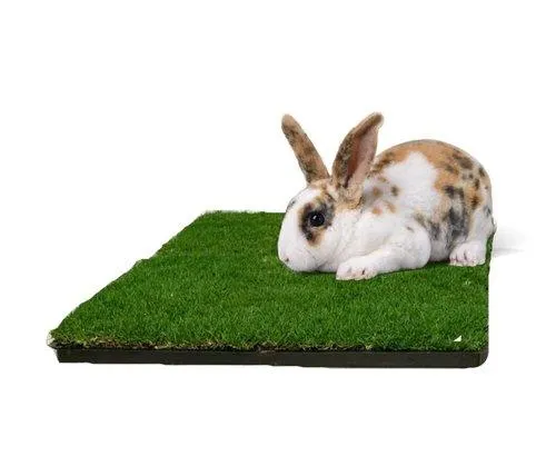 Small Animal Refill 2pk with Waste Bags