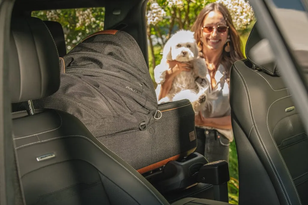 Tavo Pets Maeve Pet Car Seat - MEDIUM Flex