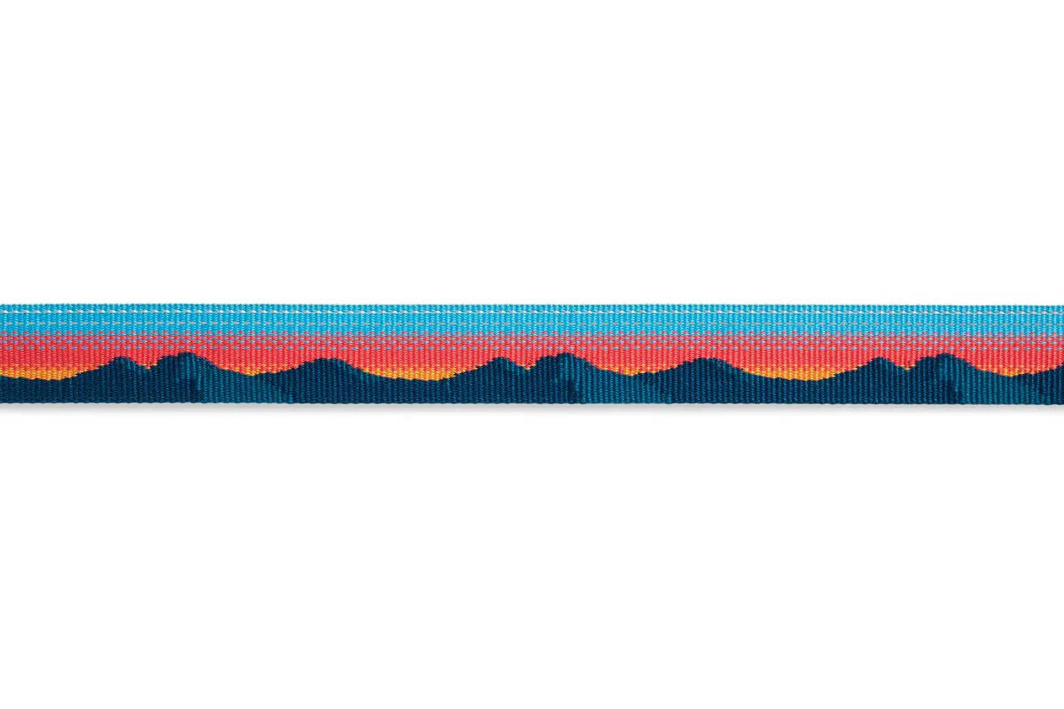 Web Reaction Collar Sunset