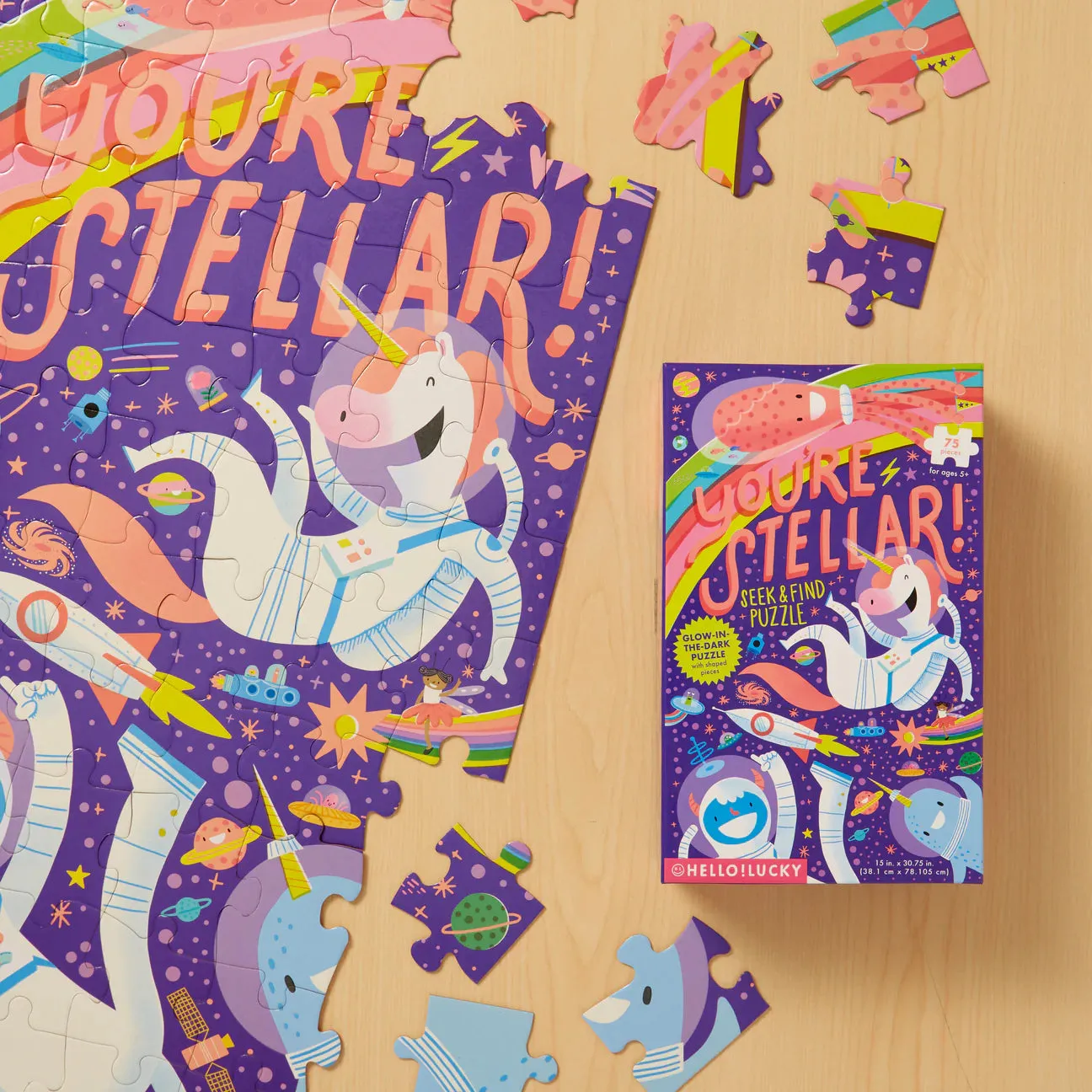 You're Stellar Seek & Find Puzzle