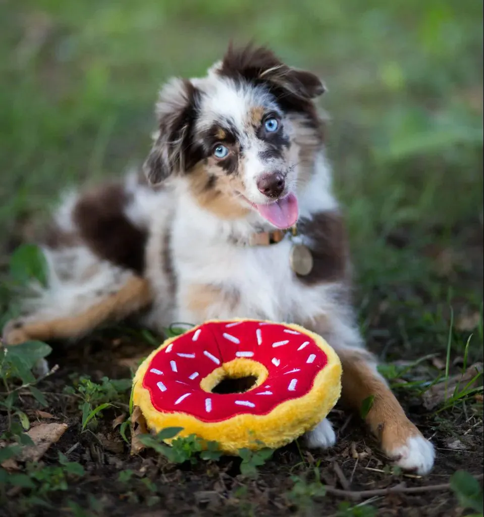 ZippyPaws Dog Toy Holiday Donutz