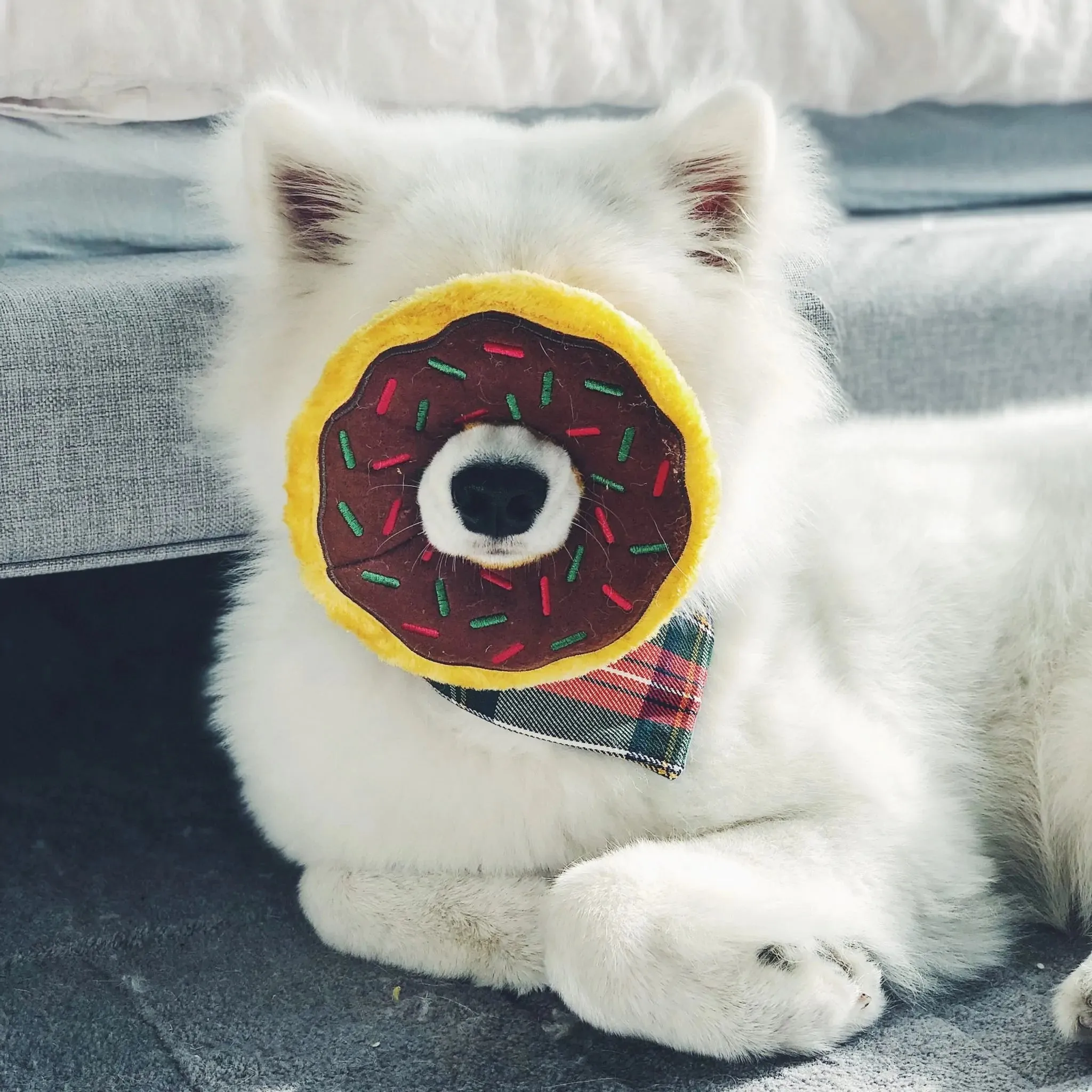ZippyPaws Dog Toy Holiday Donutz